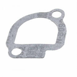 Gasket  Briggs & Stratton 272043