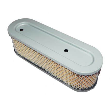 Air filter Briggs&Stratton 491519