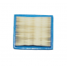 Air filter Tecumseh 36046