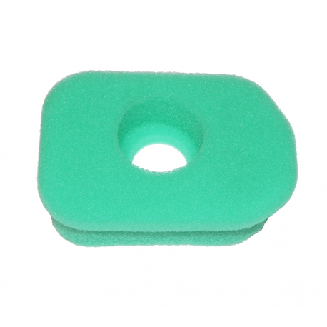 Filtre à air Briggs&Stratton 270579