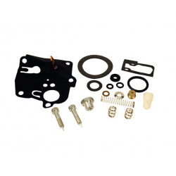 Carburetor Repair Kit 494623