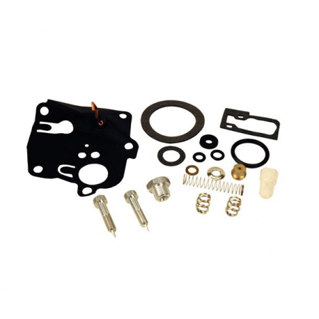 Carburetor Repair Kit 494623