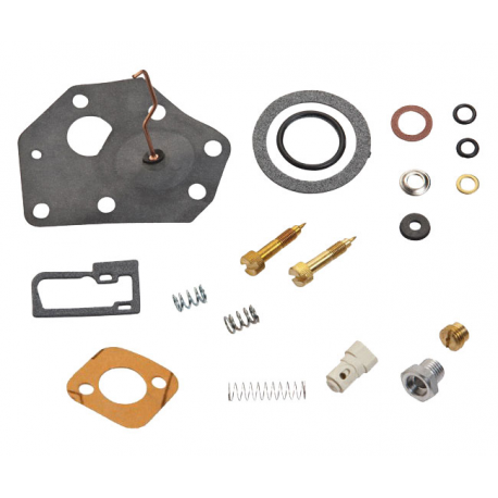 Carburetor repair kit Briggs & stratton 494622