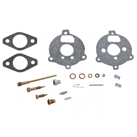 Carburetor repair kit Briggs & stratton 394693