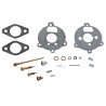 Carburetor repair kit Briggs & stratton 394693