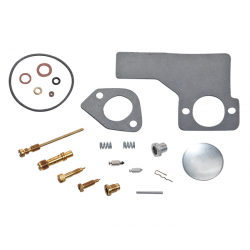 Kit de carburateur Briggs & tratton 394698