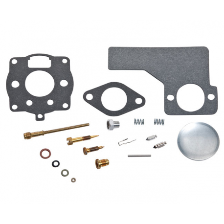 Kit de carburateur Briggs & tratton 394989