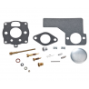 Carburetor repair kit Briggs & stratton 394989