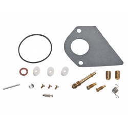 Kit Carburateur Briggs & Stratton 492256 - Compatible Série 260000/261000 - Tondeuse à Gazon - 1 Carbu + 3 Joints