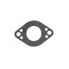 Gasket  Briggs & Stratton 694875