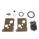 Carburetor repair kit Briggs & stratton 494625