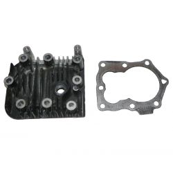 Briggs & Stratton  590411