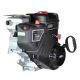 Moteur Briggs & Stratton 20M307-0001-F1