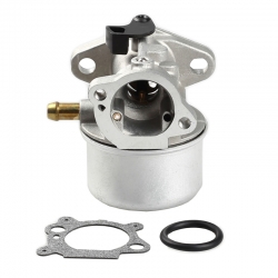 Carburetor briggs&stratton 799868