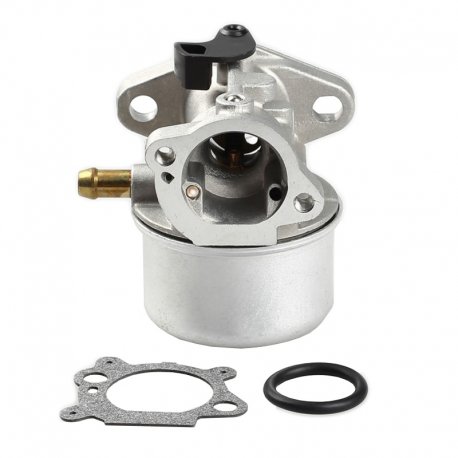 Carburetor briggs&stratton 799868