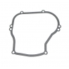 Gasket  Briggs & Stratton 270069