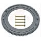 Briggs & Stratton 696537 Flywheel Gear