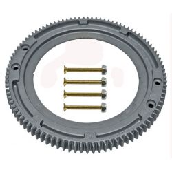 Briggs & Stratton 696537 Flywheel Gear