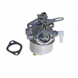 Carburetor  Tecumseh  640169