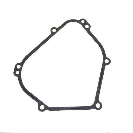 Gasket  Briggs & Stratton 699485