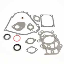 Kit Gasket  Briggs & Stratton 795201