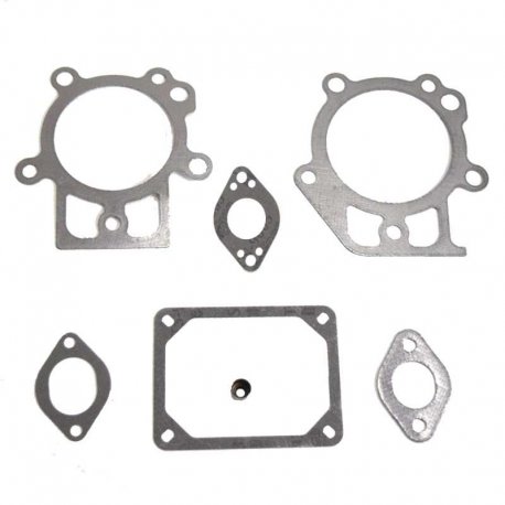 Kit Gasket  Briggs & Stratton 795200