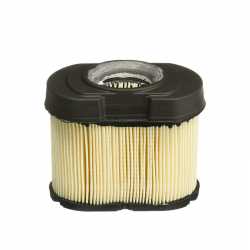 Air filter Briggs & Stratton 798748