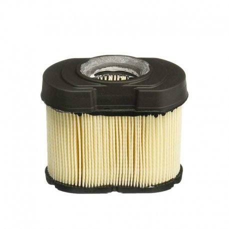 Air filter Briggs & Stratton 798748