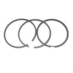 Piston rings Briggs&stratton 493261