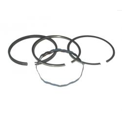 Ring Set  Briggs&stratton 391654