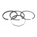 Ring Set  Briggs & stratton 391654