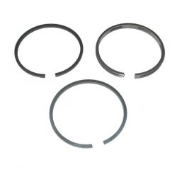 Ring Set  Briggs&stratton 290291