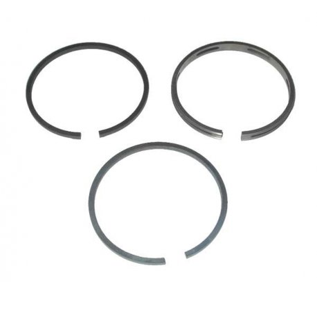 Ring Set  Briggs&stratton 290291