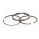 Ring Set  Briggs&stratton 298174