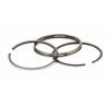 Ring Set  Briggs&stratton 298174