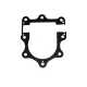 Gasket  Craftsman 175311