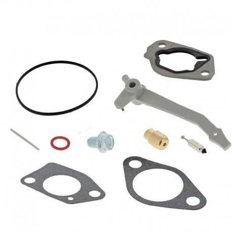 Carburetor repair kit Briggs & stratton 590453