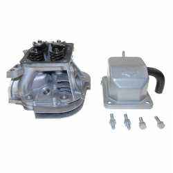 Briggs & Stratton  799860