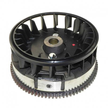 Volant magnétique Briggs Stratton 794812