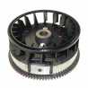 Flywheel Briggs Stratton 794812