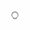 Retaining Ring Mtd 716-0194