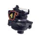 Carburetor briggs&stratton 594793