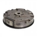 Flywheel Briggs Stratton 798882