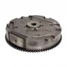 Flywheel Briggs Stratton 798882